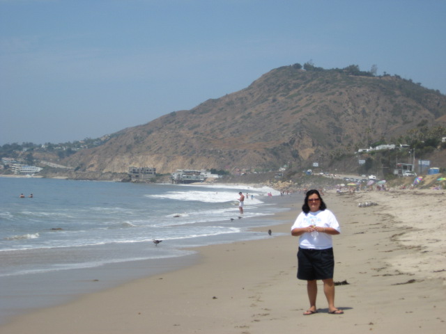 617x456 pixels (74K)